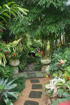 tropical-garden-paths-70_4 Тропически градински пътеки