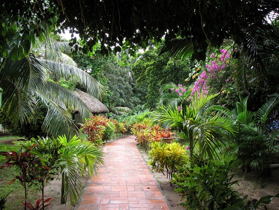 tropical-garden-paths-70_6 Тропически градински пътеки