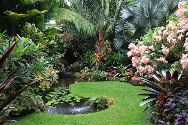 tropical-garden-pictures-21_17 Тропическа градина снимки