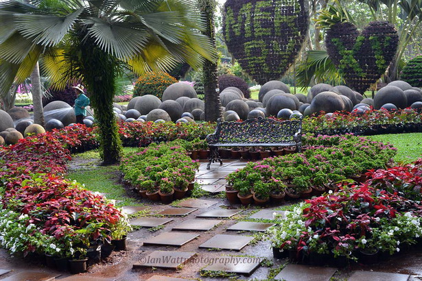 tropical-garden-plants-in-colour-54_11 Тропически градински растения в цвят