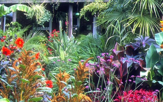 tropical-garden-plants-in-colour-54_14 Тропически градински растения в цвят