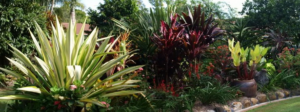 tropical-garden-plants-in-colour-54_17 Тропически градински растения в цвят