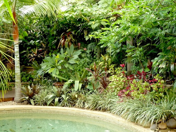 tropical-garden-plants-list-50 Списък на тропическите градински растения