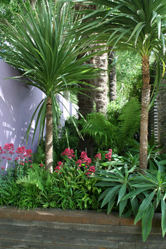 tropical-garden-plants-list-50_16 Списък на тропическите градински растения