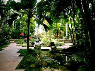 tropical-garden-style-09_10 Тропически градински стил