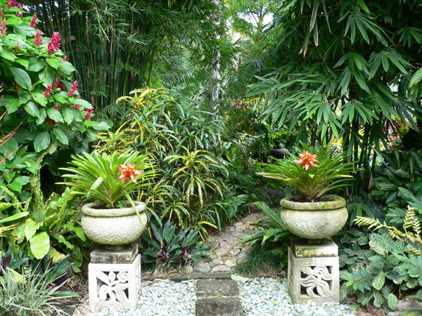 tropical-garden-style-09_13 Тропически градински стил