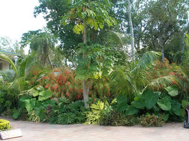 tropical-garden-style-09_9 Тропически градински стил