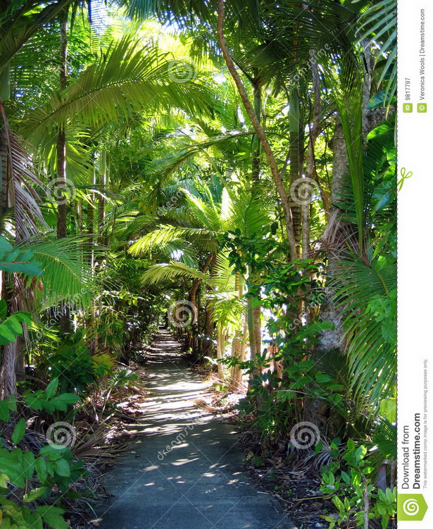 tropical-garden-trees-16_9 Тропически градински дървета