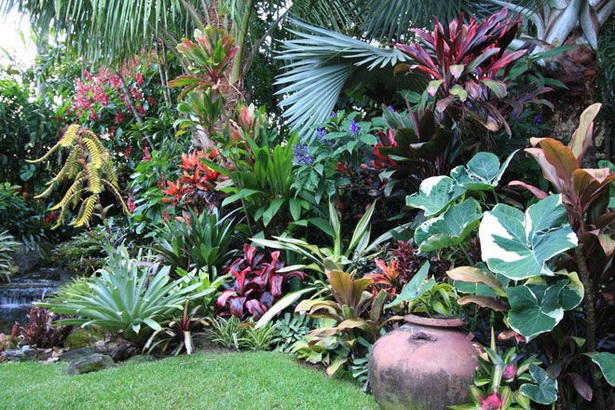 tropical-garden-50_10 Тропическа градина