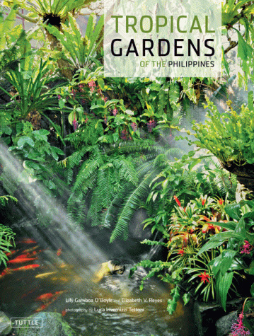 tropical-gardening-89_17 Тропическо градинарство