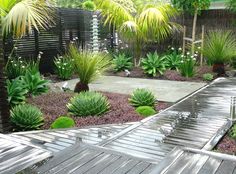 tropical-home-garden-ideas-46_19 Тропически идеи за домашна градина