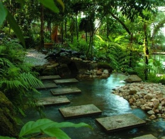 tropical-home-garden-ideas-46_2 Тропически идеи за домашна градина