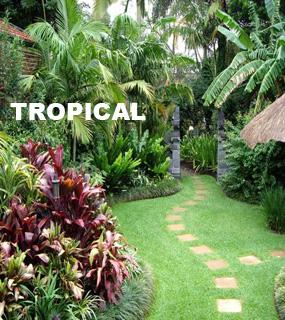 tropical-landscape-design-ideas-79_7 Идеи за тропически ландшафтен дизайн