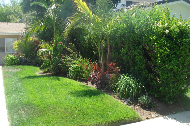 tropical-landscape-ideas-small-yards-23_13 Идеи за тропически пейзаж малки дворове