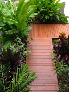 tropical-landscape-ideas-small-yards-23_20 Идеи за тропически пейзаж малки дворове