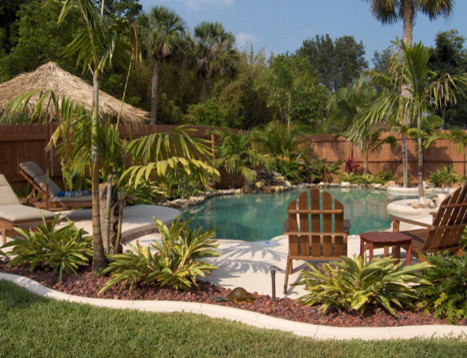 tropical-landscaping-ideas-for-backyard-96_18 Тропически озеленяване идеи за задния двор