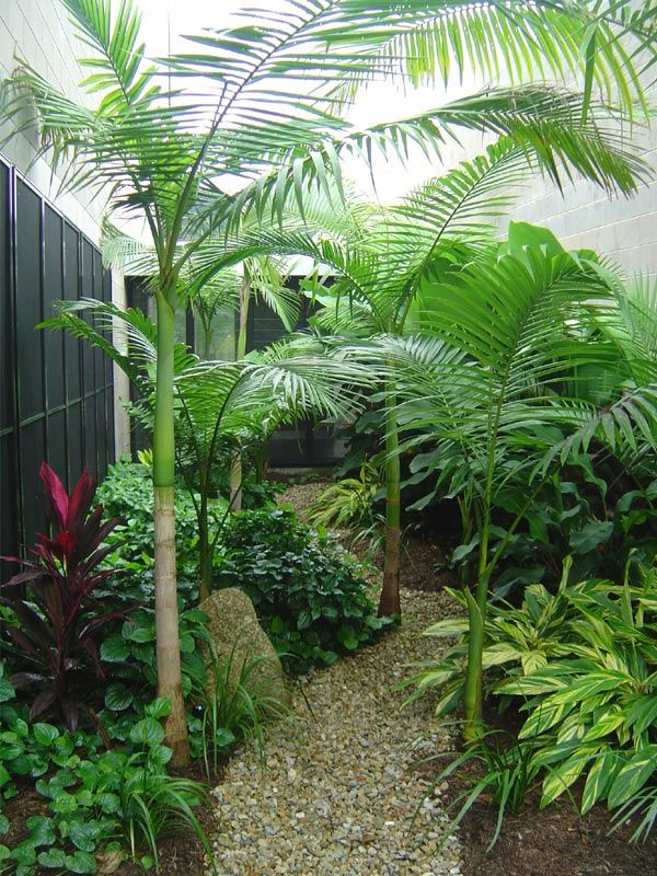 tropical-landscaping-ideas-for-small-yards-68_17 Тропически озеленяване идеи за малки дворове