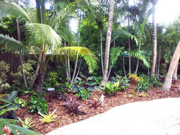 tropical-landscaping-trees-44_13 Тропически дървета за озеленяване