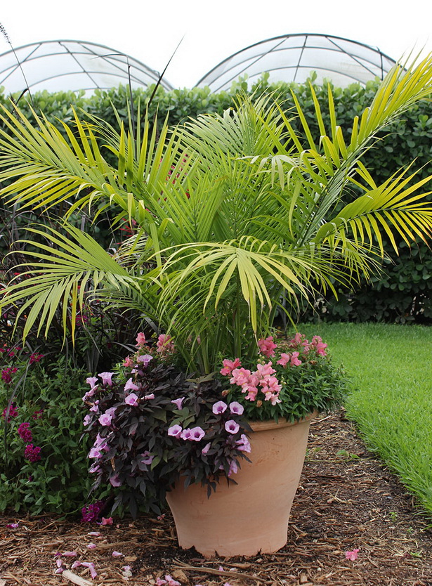 tropical-planter-ideas-10_14 Идеи за тропически плантатори