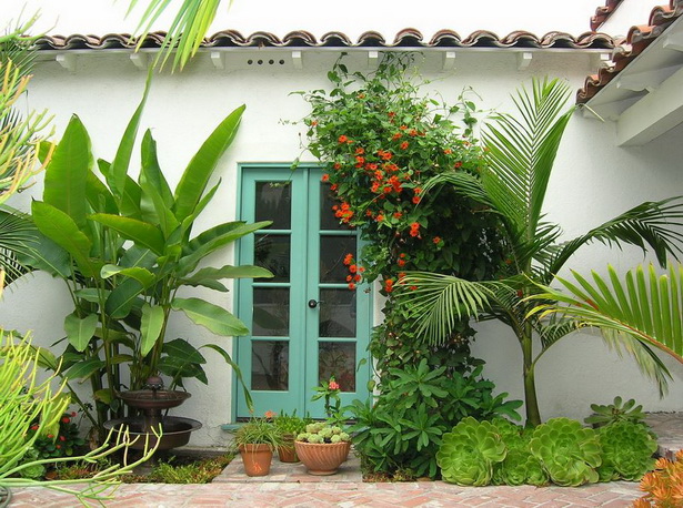 tropical-plants-for-landscaping-67_6 Тропически растения за озеленяване