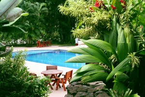 tropical-plants-for-pool-landscaping-13_5 Тропически растения за озеленяване на басейни