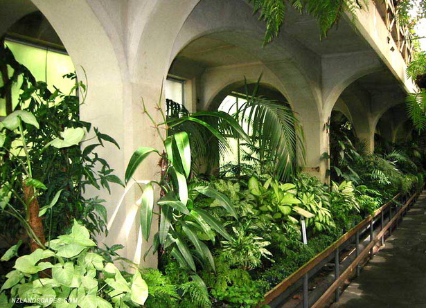 tropical-plants-landscaping-ideas-62_15 Тропически растения озеленяване идеи