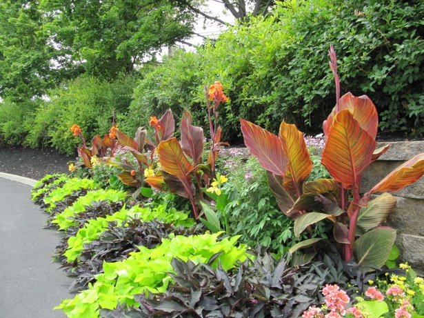 tropical-plants-landscaping-ideas-62_6 Тропически растения озеленяване идеи