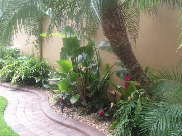 tropical-plants-landscaping-ideas-62_9 Тропически растения озеленяване идеи