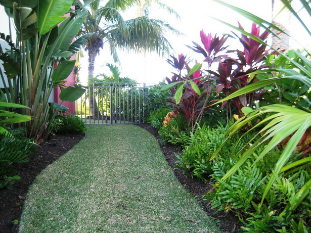 tropical-plants-landscaping-20_9 Тропически растения озеленяване