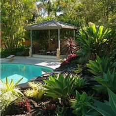 tropical-pool-gardens-18_14 Тропически градини с басейни