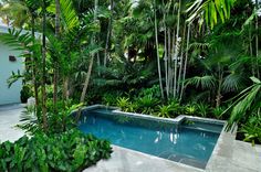 tropical-pool-gardens-18_2 Тропически градини с басейни