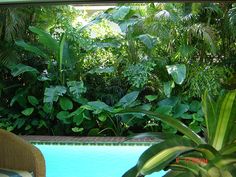 tropical-pool-gardens-18_7 Тропически градини с басейни