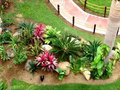 tropical-pool-landscaping-ideas-82_18 Тропически басейн идеи за озеленяване