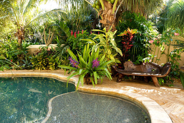 tropical-pool-landscaping-39_2 Тропически басейн озеленяване