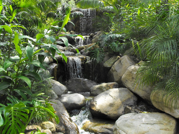 tropical-rock-garden-64_6 Тропическа алпинеум