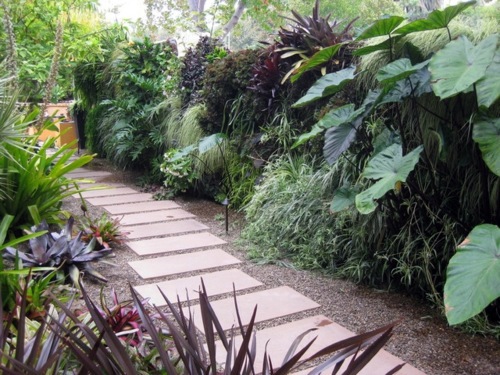 tropical-shade-garden-81_12 Тропическа сянка градина