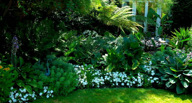 tropical-shade-garden-81_17 Тропическа сянка градина
