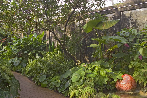 tropical-shade-garden-81_18 Тропическа сянка градина