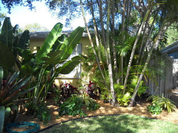 tropical-shade-garden-81_2 Тропическа сянка градина