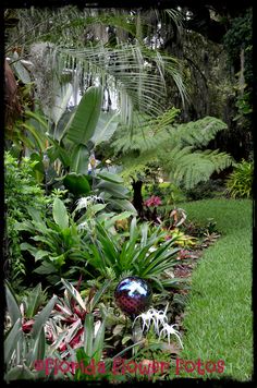 tropical-shade-garden-81_3 Тропическа сянка градина