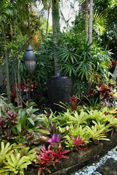 tropical-shade-garden-81_6 Тропическа сянка градина