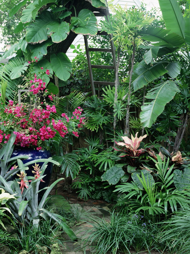 tropical-style-gardens-49_11 Градини в тропически стил