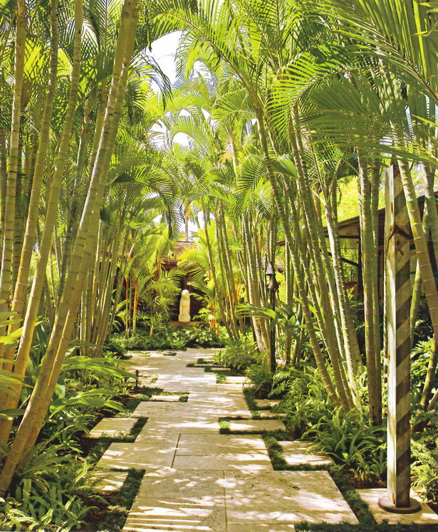 tropical-trees-for-landscaping-73_7 Тропически дървета за озеленяване