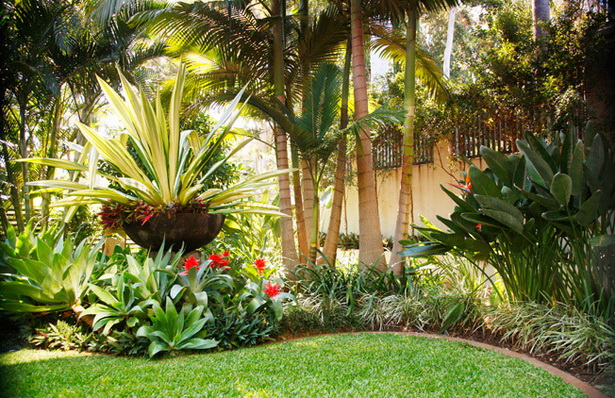 Тропически двор дизайн