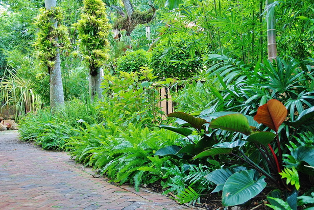 tropical-yard-design-35_18 Тропически двор дизайн