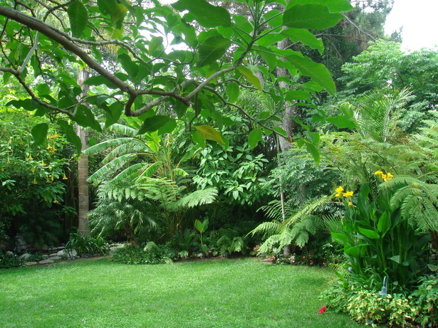 tropical-yard-05_13 Тропически двор