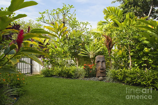 tropical-yard-05_2 Тропически двор