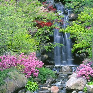 types-of-japanese-gardens-99_6 Видове японски градини
