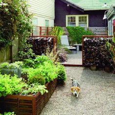 urban-front-yard-landscaping-ideas-04_17 Градски преден двор идеи за озеленяване