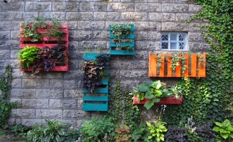 urban-gardening-66 Градско градинарство